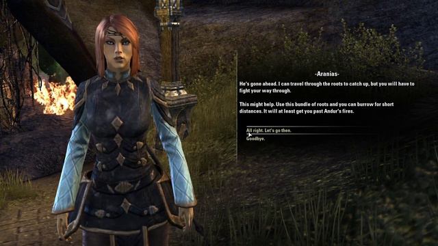 Elder Scrolls Online Gameplay GT820M