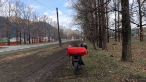 Путешествие на скутере на Алтай. Suzuki Address V 100