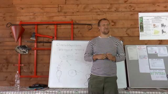 Курс «Зоология беспозвоночных», лекция 1, ЛЭШ-2018