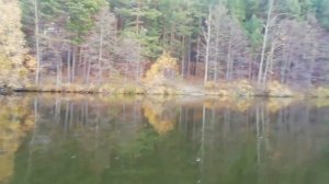 Осенняя рыбалка в Разнежье 2020