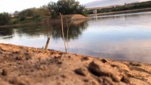 Рыбалка на донки