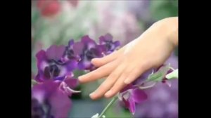 О, Палмолив, мой нежный гель! Ты даришь запах орхидей!