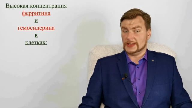 Роль железа в организме. ЕГЭ Биология.