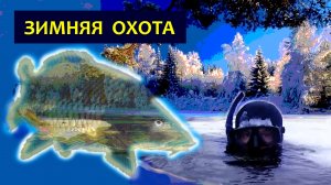 Подледные нырки и поиск амура - КАРТА ПОДВОХА