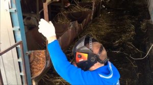 Кормушка  для быков ! Переделываю!