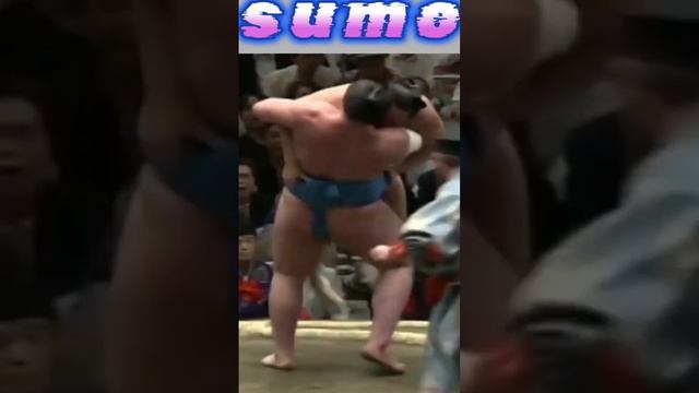 🔥Slow Mo Breakdown-Most Devastating Displayed in Sumo Arena#ytshort