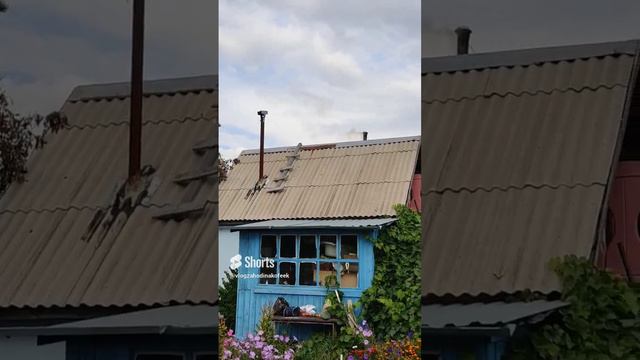 Банька топится #shorts