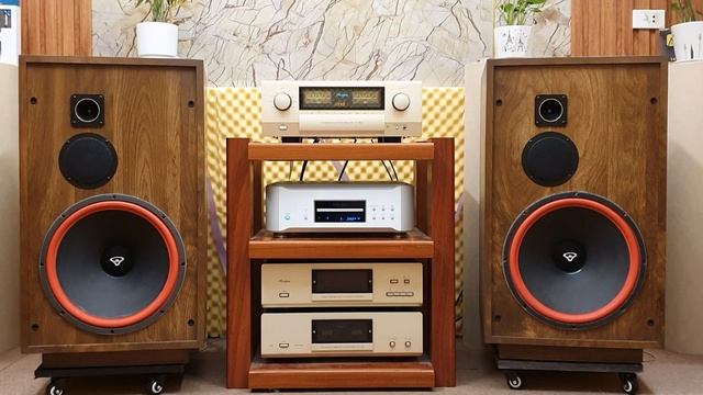 xin em đừng khóc vu quy ( cs quang lập ) loa cerwin-vega U-351 lh Hotline 055.929.2222 смотреть онлайн