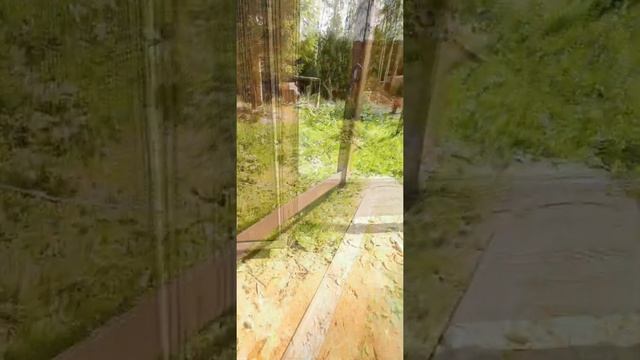 Забор)) смотреть онлайн