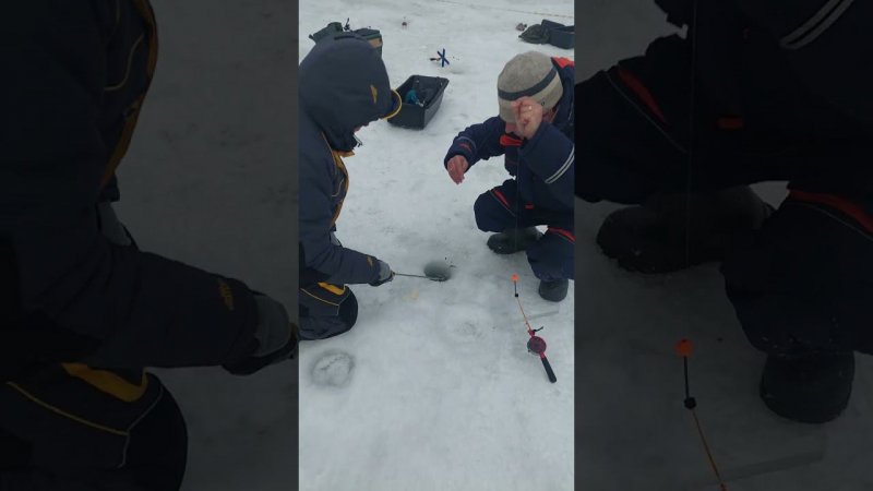 Голицыно Fish (4)