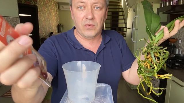 ЛИСТЬЯ ОРХИДЕИ СКАЗАЛИ О ПРОБЛЕМАХ корней орхидеи и её основания, МОИ ОПЕРАТИВНЫЕ ДЕЙСТВИЯ смотреть онлайн