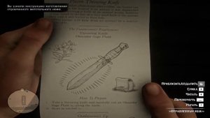 Red Dead Redemption 2 - Poison Throwing Knife / Рецепт "Отравленный метательный нож"