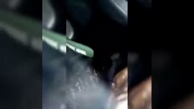 Поставил фен на хайс смотреть онлайн