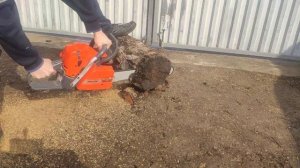 Краткий обзор бензопилы Oleo-mac GS650 Made in Italy / Overview of the chainsaw Oleo-mac GS650