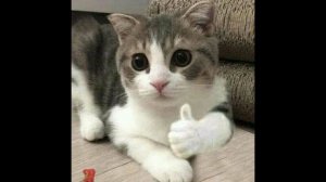 осады 9 12 2023