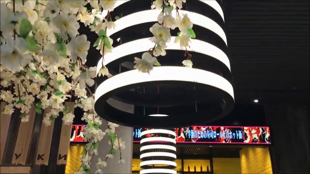 Тануки Королев проспект Королева смотреть онлайн