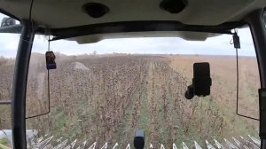 Комбайн КЛААС МЕГА. Заканчиваем уборку подсолнечника.