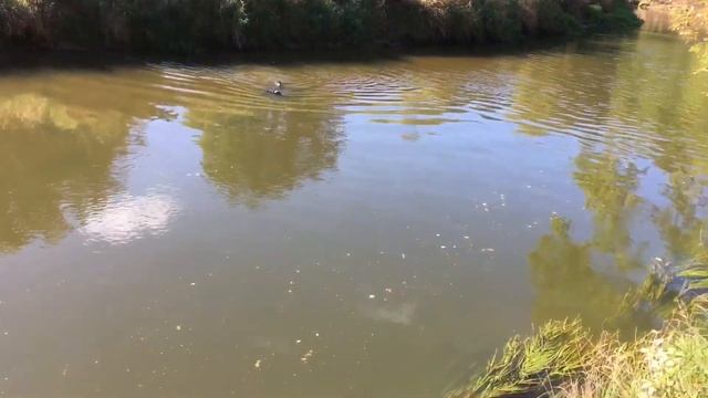 Нива 4х4! Осень 2017 смотреть онлайн