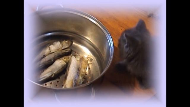 Как кот Васька рыбу добывает.Павел Лясковский. смотреть онлайн