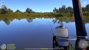 Русская рыбалка 4 Стерлядь