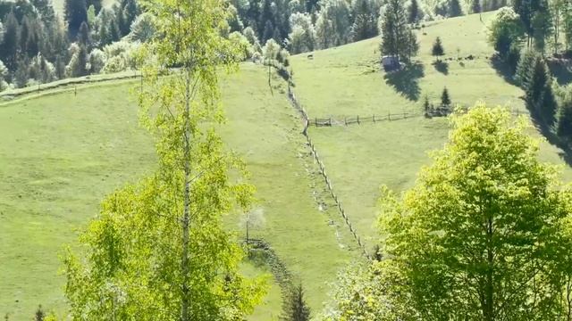 !+ МОЛИТВА ОТ ЗЛОГО ДУХА (Православная). смотреть онлайн