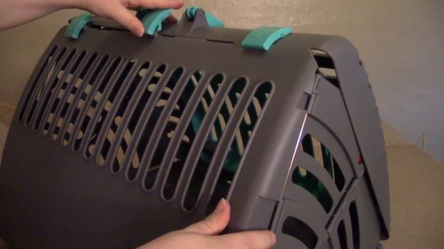 SportPet Designs Foldable Travel Cat XL Carrier смотреть онлайн