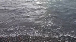 Сочи. Красивое море. Цветной бульвар вечером.