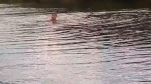 Непрядва река