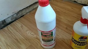 черная плесень как избавиться.