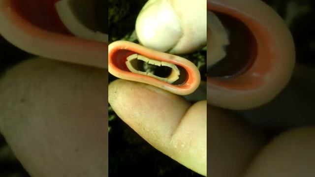 Наконечники с мертвых катушек фита GD... смотреть онлайн