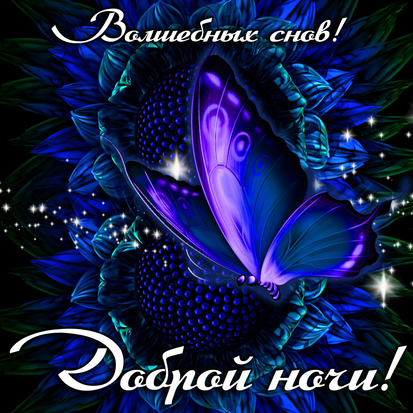 Спокойной ночи. Сладких снов. Пусть ночь пройдет спокойно и безмятежно