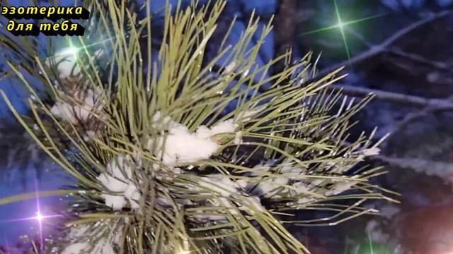 Сегодня 7 декабря прибыльный день, скажите денежные слова. Послание Архангела Михаила. Лунный день смотреть онлайн