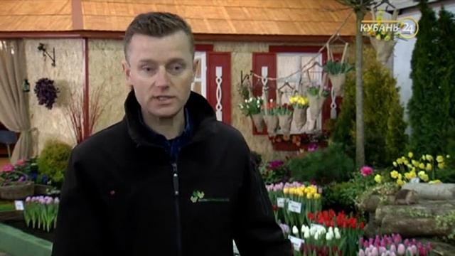Выставка тюльпанов 2019 Белореченск Domenika Flowers
