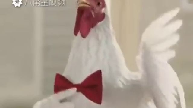 Праздник 2017 года смотреть онлайн