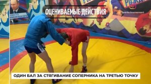 Упрощаемые правила по самбо для детей 7-9 лет