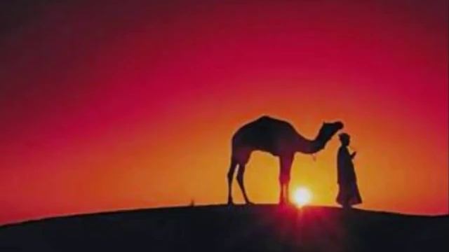 Habibi смотреть онлайн