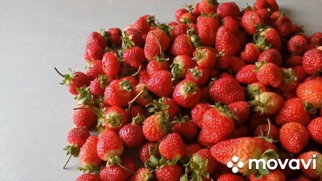 ремонтантная  клубника, клубника в  октябре.