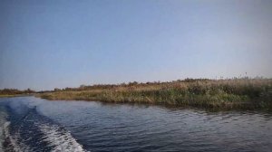 Новоладожский канал. 26.09.2020
