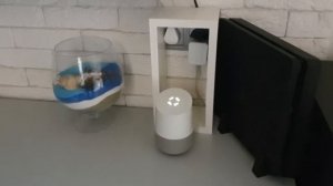 Google Home на русском 2021 год