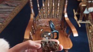 Виды плесени на склероции гриба чага. Не в коем случае не заваривайте Чагу , когда увидите на нем е