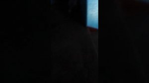 сколько СТУПЕНЕК в 9-ти этажке?