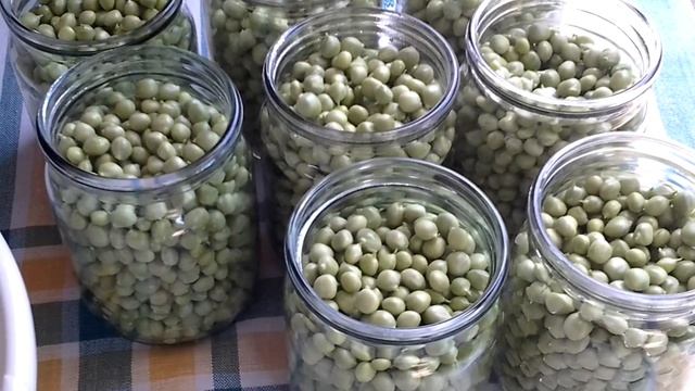 Закрываем зелёный горошек. Переработка гороха.