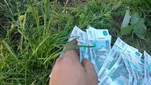 500 000 ЗА СЕЗОН. СДАЧА МЕТАЛЛОЛОМА НАКОПЛЕННОГО ЗА 2 НЕДЕЛИ.