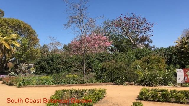 Лос Анджелес часть 3. Путешествие. Лучшие места. Los Angeles, Part 3.