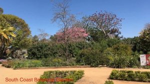 Лос Анджелес часть 3. Путешествие. Лучшие места. Los Angeles, part 3.