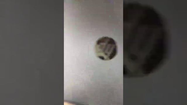 Обзор на ноутбук смотреть онлайн