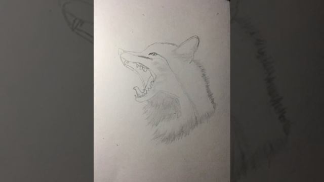 Как нарисовать мордочку лисы!
