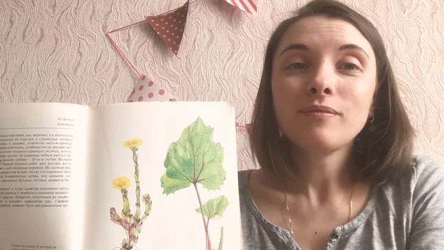 Мать-и-мачеха ☀️ смотреть онлайн