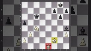 Рентген Тактика в шахматах