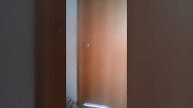 У нас дома неизвестная сущность смотреть онлайн